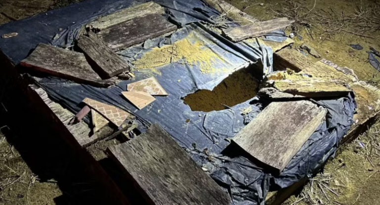 Criança de 3 anos é encontrada morta em fossa após horas desaparecida