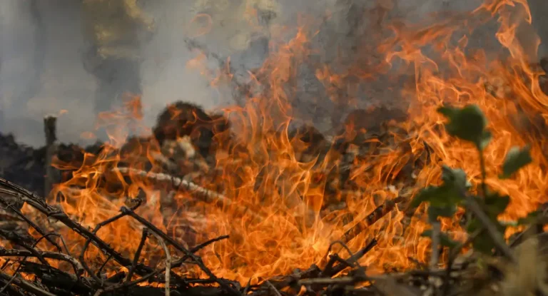 Conflitos por terra afetam mais de 900 mil pessoas em 2024, com aumento de casos violentos e atuação de grupo ruralista