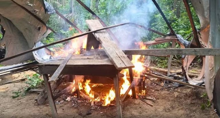 Polícia de Rondônia reage a ataques em reserva e apreende armas e equipamentos
