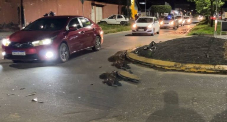 Colisão em rotatória deixa dois motociclistas feridos