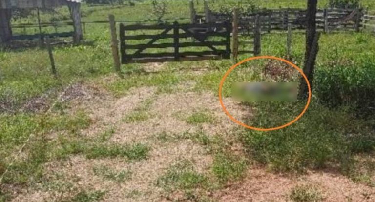 Corpo de homem é encontrado às margens da RO-473