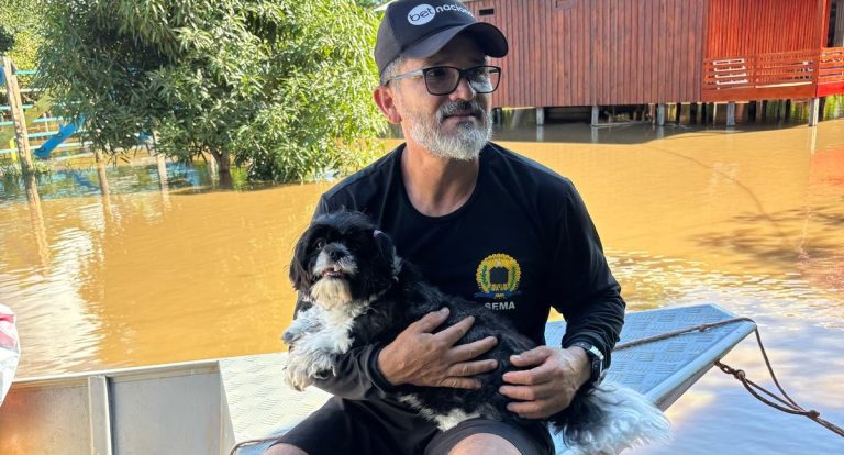 Parceria entre Prefeitura e Conselho Regional de Medicina Veterinária presta atendimento a animais nos distritos afetados pela cheia do Madeira - News Rondônia