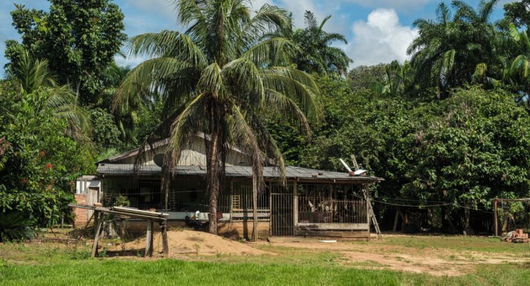 Semagric abre cadastro de agricultores para programa de pagamento por serviços ambientais - News Rondônia