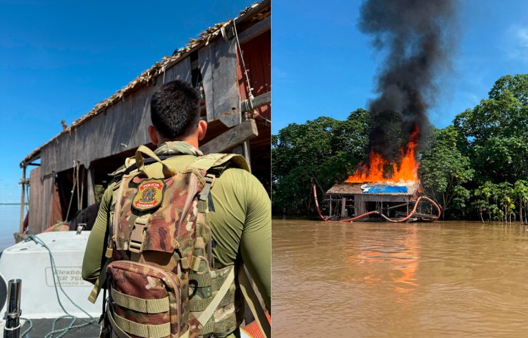 PF e Ibama combatem crimes ambientais em RO - News Rondônia