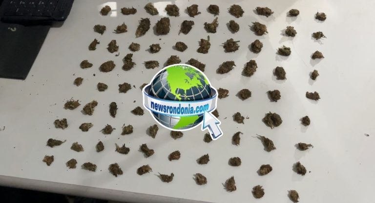 Suspeito de usar distribuidora como boca de fumo é preso com drogas na zona leste