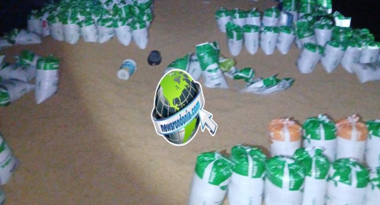 Seis piratas do Madeira são presos furtando soja em balsa