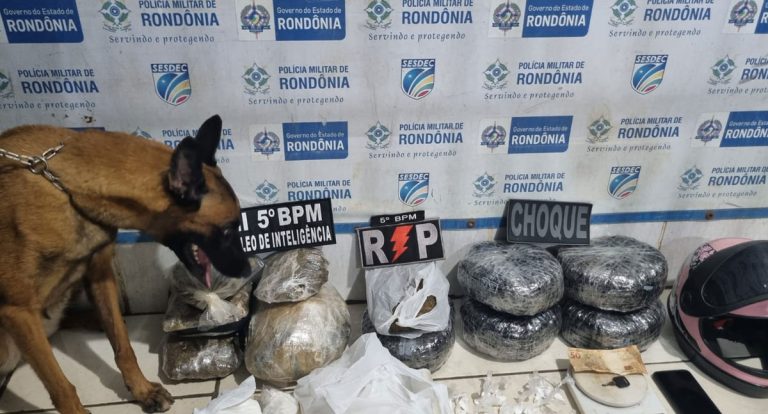 Polícia Militar apreende grande quantidade de drogas na zona sul de Porto Velho - News Rondônia