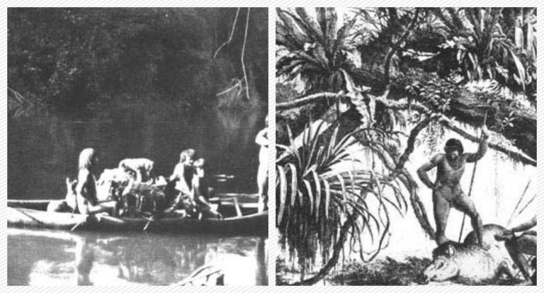 Povos indígenas de Rondônia: existência remete a mais de 10 mil anos - News Rondônia