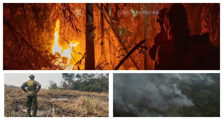 Amazônia: queimadas têm queda de 72% - News Rondônia