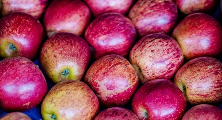 Exportação de frutas brasileiras cresce 26% no primeiro trimestre de 2025, com aumento de 7% no faturamento