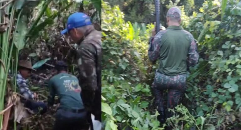 Equipes da PMA são atacadas por onça durante resgate de corpo de caseiro no Pantanal