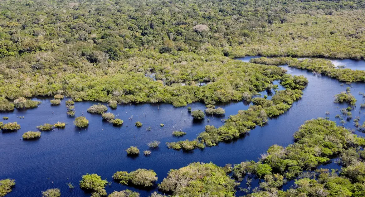 Desmatamento cai em cinco dos seis biomas brasileiros em 2024, mas Mata Atlântica registra leve alta