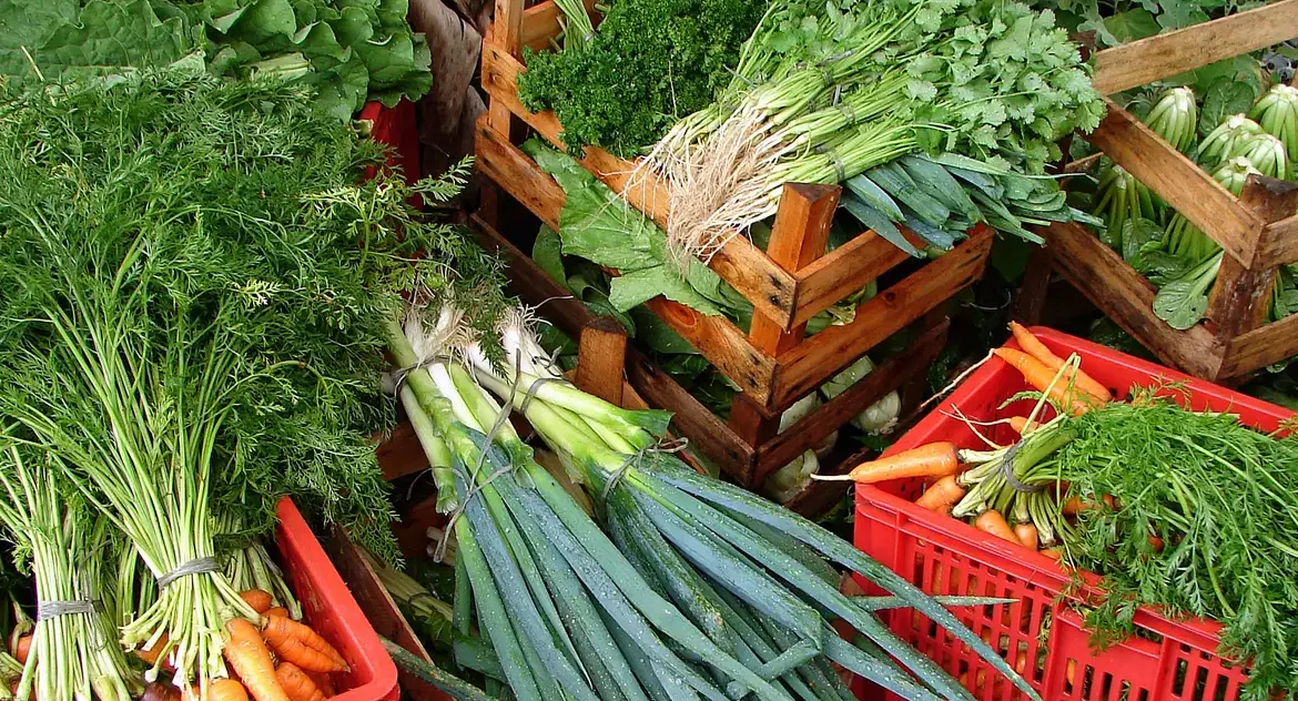 Cesta básica ideal custa R$ 432 e compromete 21,4% da renda média; mais de 70% da população não consegue arcar com alimentação adequada