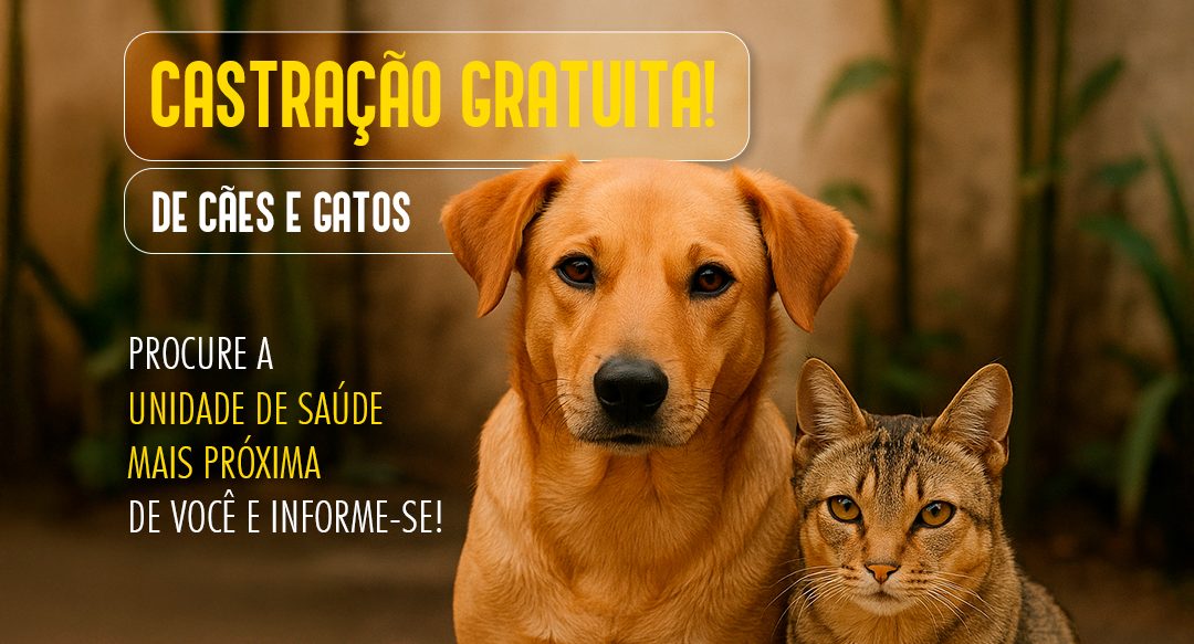 Inscrições para o programa Castração Cidadã em Jaru terminam na próxima segunda, 19