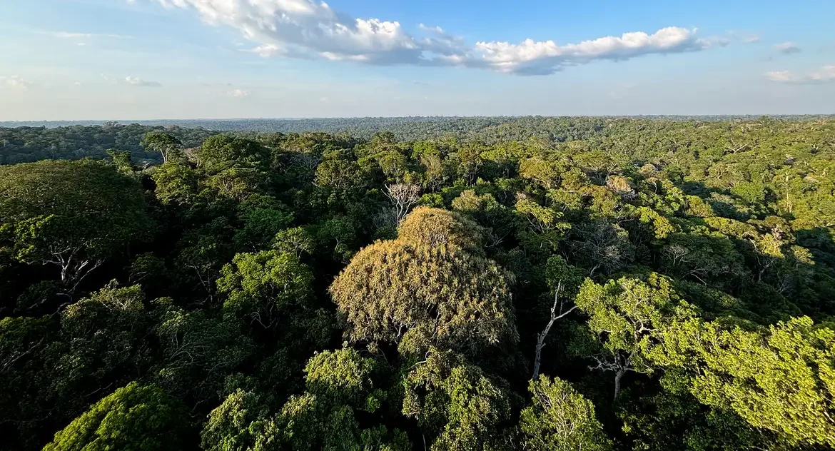 Conferência Nacional do Meio Ambiente entrega 104 propostas de políticas públicas com foco em justiça climática, educação e combate a incêndios