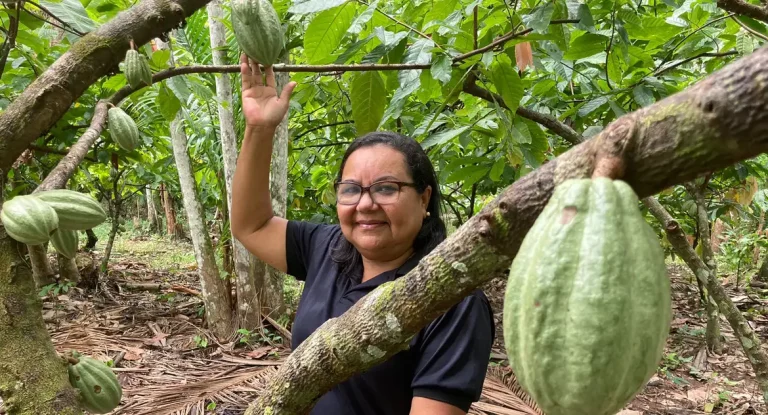 Bioeconomia impulsiona desenvolvimento sustentável na Amazônia e atrai investimentos públicos e privados