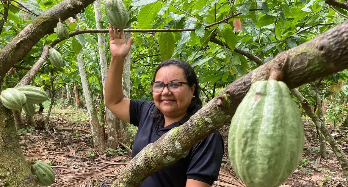 Bioeconomia impulsiona desenvolvimento sustentável na Amazônia e atrai investimentos públicos e privados