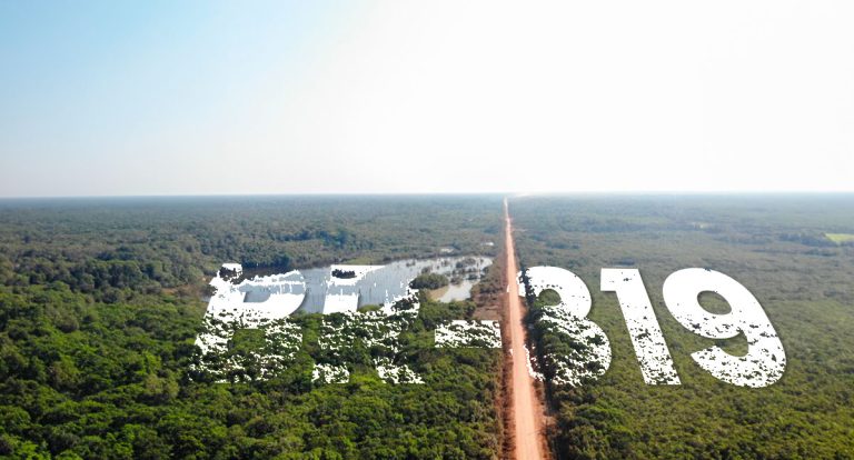 Novo alerta: epicentro do desmatamento na BR-319 continua aumentando - News Rondônia