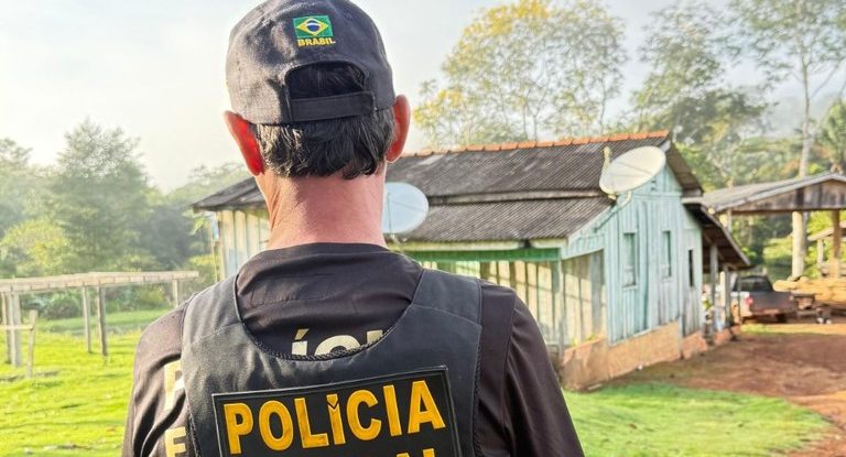 PF deflagra operação em combate a extração ilegal de madeira em Terras Indígenas