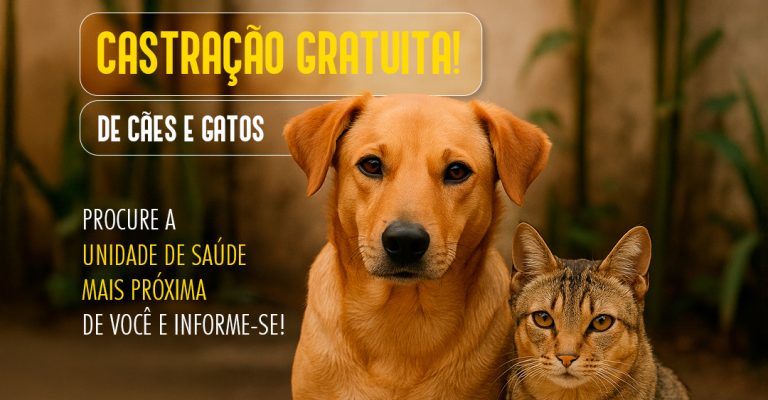 Castração Cidadã: Prefeitura de Jaru inicia cadastro para castração gratuita de cães e gatos - News Rondônia