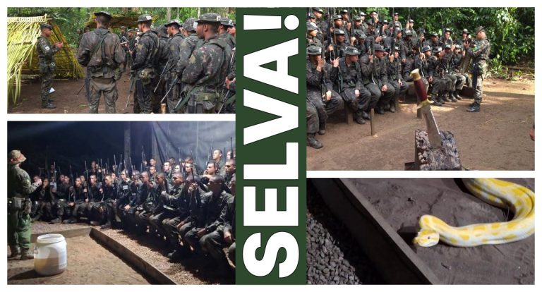 Treinamento na selva: cinco dias de resistência, técnica e superação - News Rondônia
