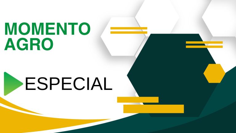 Momento Agro | Os melhores momentos do agro reunidos em uma só edição - News Rondônia