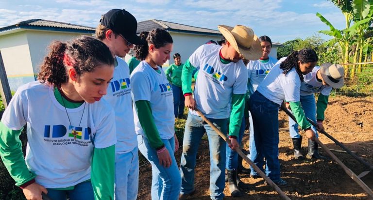 Alunos da educação rural aprendem com a rotina do campo - News Rondônia