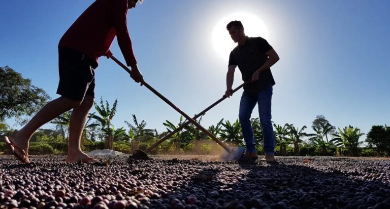 Governo de Rondônia fortalece ações da Emater com unificação de fundos voltados ao setor agropecuário - News Rondônia