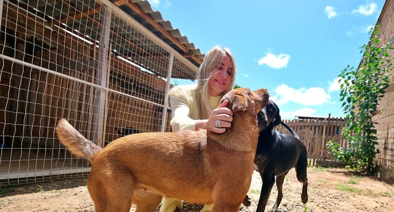 Lei que proíbe confinamento e alojamento inadequado de pets é de autoria da deputada Ieda Chaves - News Rondônia