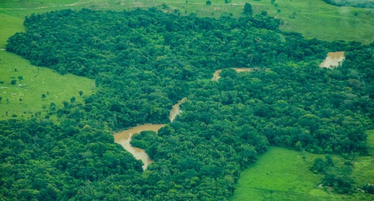 Desmatamento em Rondônia cai mais de 40% entre 2024 e 2025, segundo plataforma nacional - News Rondônia