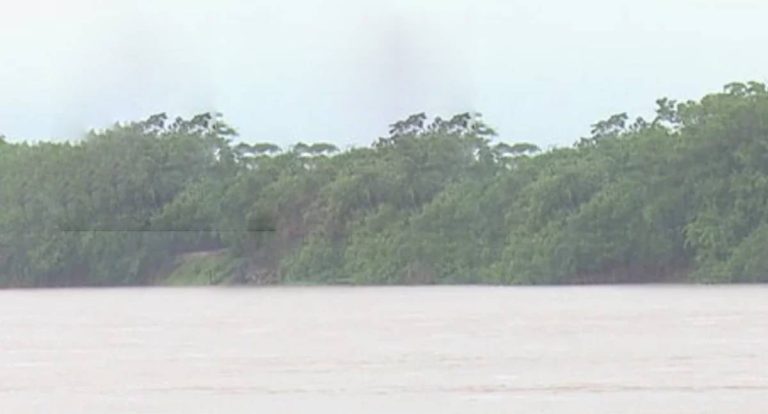 Homem morre afogado ao tentar resgatar boi no Rio Machado