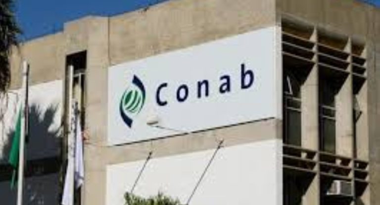 No Dia Internacional da Biodiversidade, Conab ressalta importância da PGPMBio na valorização de alimentos dos biomas brasileiros - News Rondônia