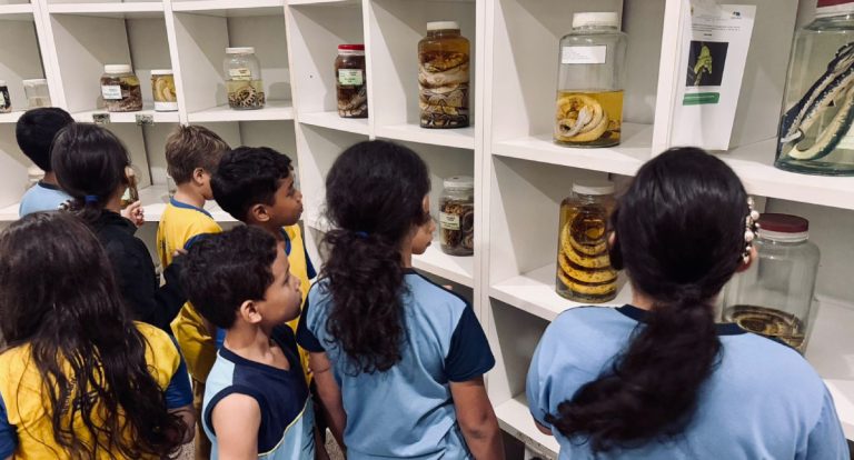 Estudantes da Escola Municipal Broto do Açaí vivenciam manhã de aprendizado e lazer no Parque Natural de Porto Velho - News Rondônia