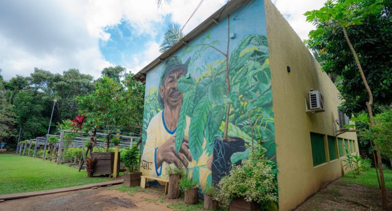 Distribuição gratuita de mudas de plantas reforça ações da Prefeitura para arborização urbana de Porto Velho - News Rondônia