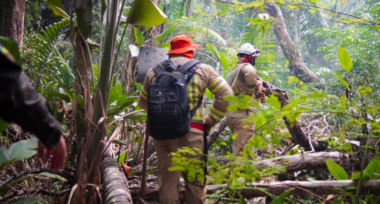 Mudanças climáticas: Rondônia adota medidas para enfrentar a estiagem de 2025