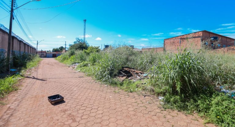 Léo Moraes propõe lei para aplicar multa a quem descartar lixo em Porto Velho - News Rondônia
