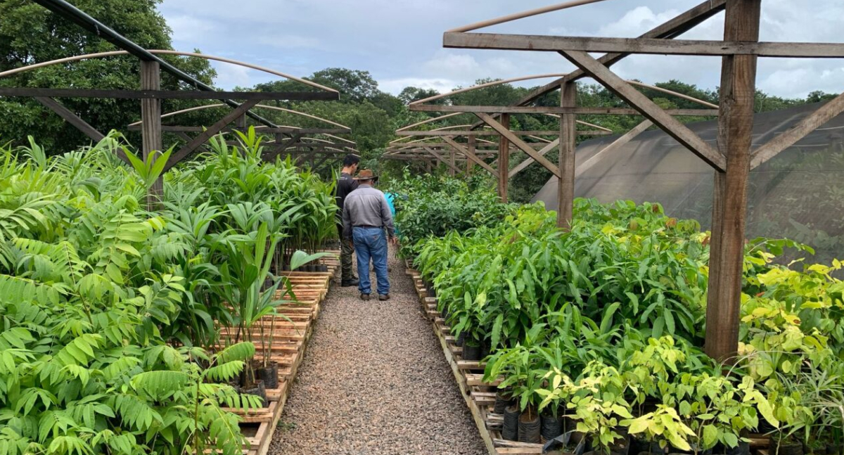 Encontro de Viveiristas e Secretários reforça ações de gestão ambiental em Rondônia