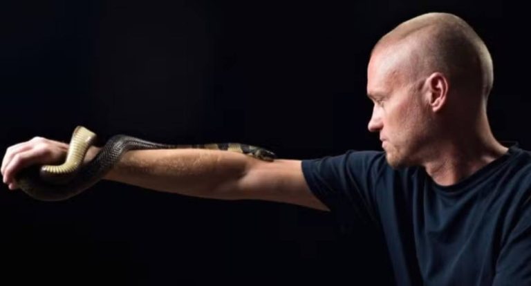 Cientistas desenvolvem antídoto experimental com anticorpos de homem picado por mais de 200 cobras
