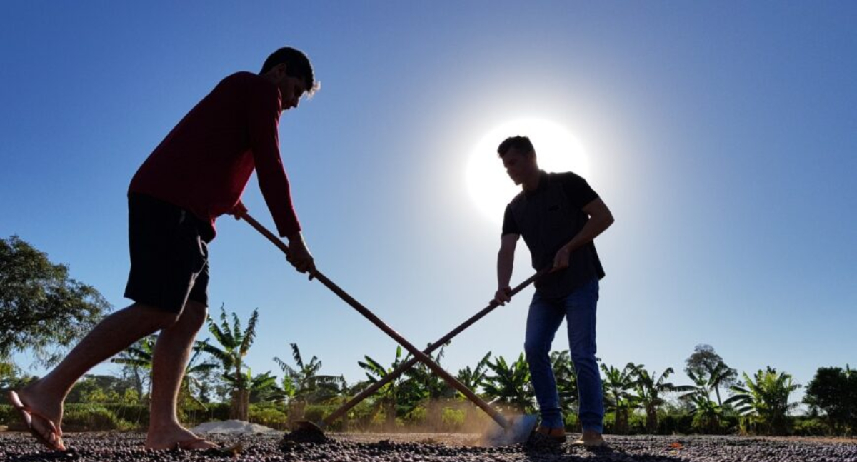 Parceria entre Governo de RO e Embrapa destaca inovações tecnológicas e sustentáveis na Rondônia Rural Show