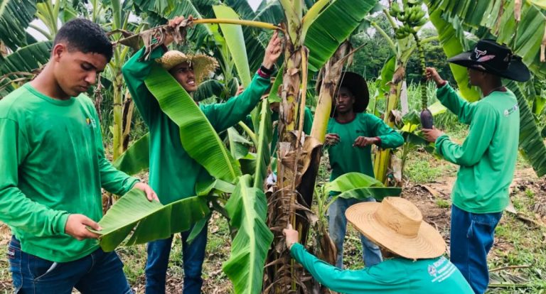 Tecnologia no campo: Rondônia Rural Show Internacional aborda uso da Inteligência Artificial na agropecuária