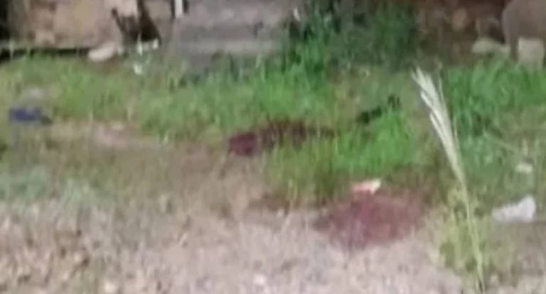 Jovem é morto a tiros em frente a residência em Presidente Médici