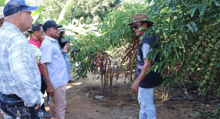 Visitantes da 12ª Rondônia Rural Show Internacional terão acesso a uma experiência inédita