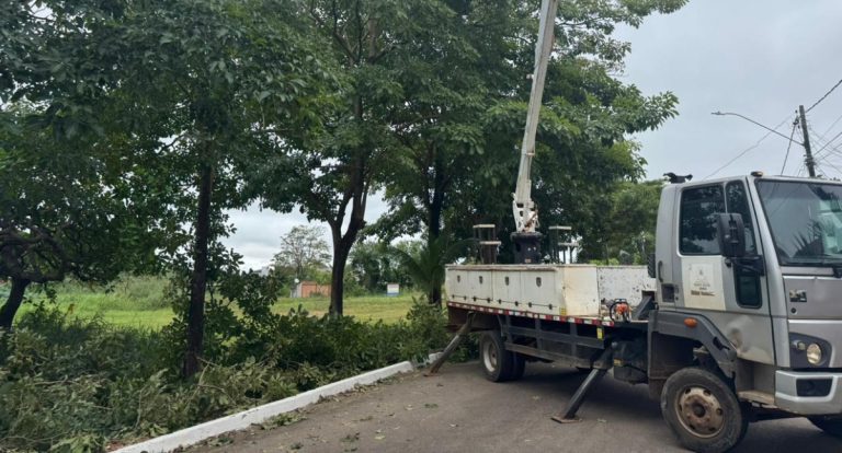 Sema executa poda preventiva na Rua Hortelã, no bairro Cohab - News Rondônia