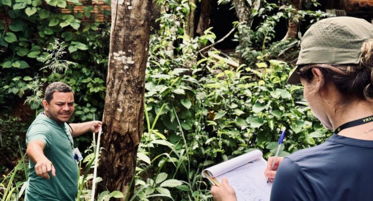 Porto Velho reforça fiscalização ambiental em bairros e áreas de preservação - News Rondônia