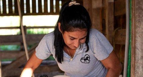 Resultados dos concursos de Fotografia e Artesanato agitam espaço do Sebrae na Rondônia Rural Show