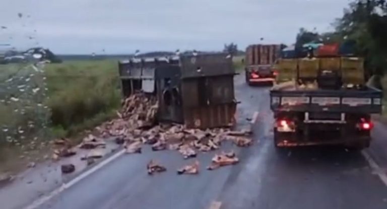 Colisão entre carreta e caçamba na BR-364 espalha ossos pela rodovia