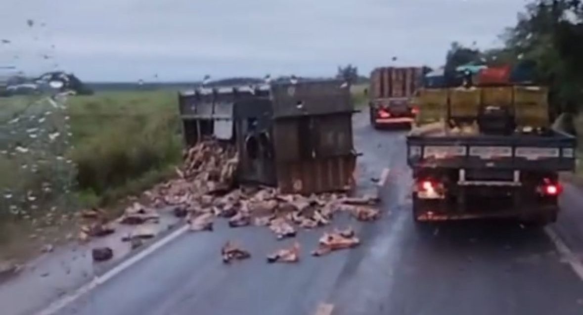 Colisão entre carreta e caçamba na BR-364 espalha ossos pela rodovia
