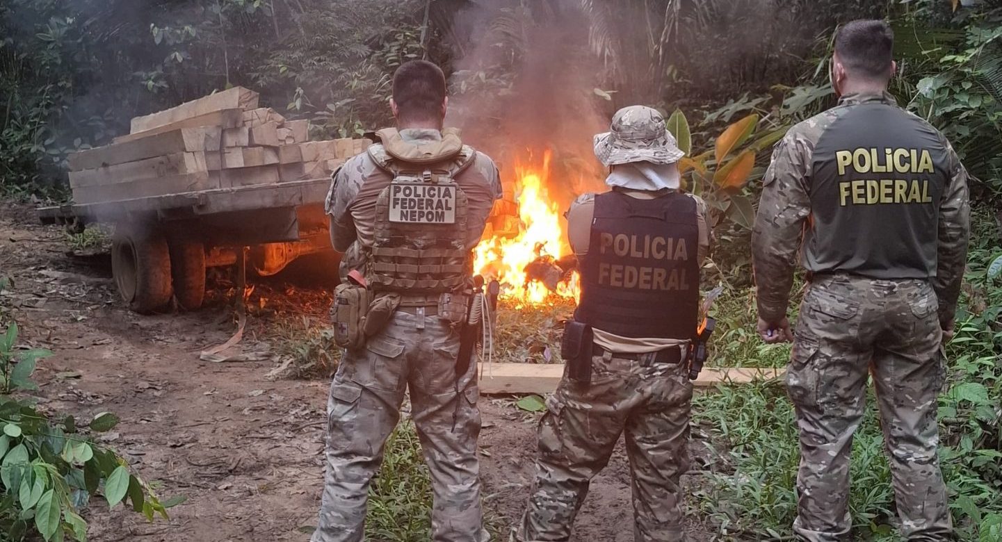 PF faz operação contra crimes ambientais na TI Igarapé Lage