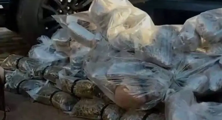 Homem é preso com 84 kg de skunk em rodovia