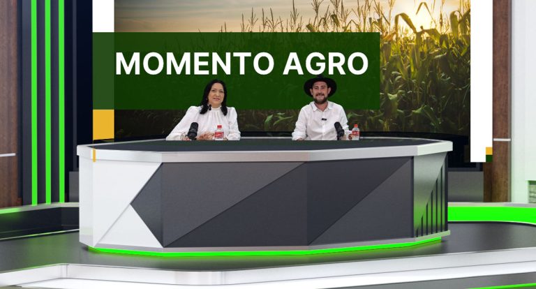 Imposto de Renda do produtor rural: acerte nas contas, evite prejuízos - News Rondônia